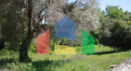 For Sale - Land 4000 m² in Kassandra, Chalkidiki