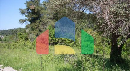 For Sale - Land 4000 m² in Kassandra, Chalkidiki