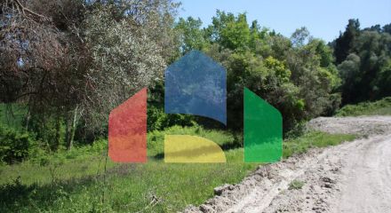 For Sale - Land 4000 m² in Kassandra, Chalkidiki