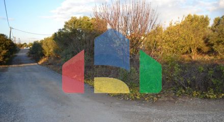 For Sale - Land 600 m² in Kassandra, Chalkidiki