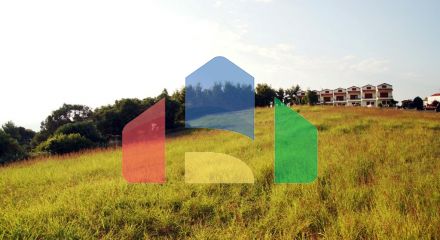 Продажа - Земельный участок 7700 m² на Кассандре (Халкидики)