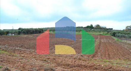 Продажа - Земельный участок 7800 m² на Кассандре (Халкидики)