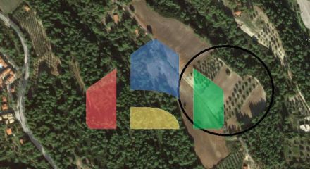 Продаж - Земельна ділянка 34000 m² на Кассандрі (Халкідіки)