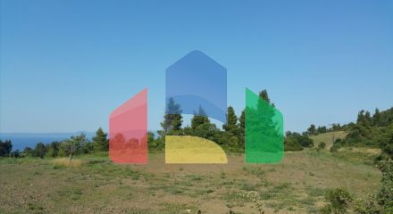 Продажа - Земельный участок 14625 m² на Кассандре (Халкидики)