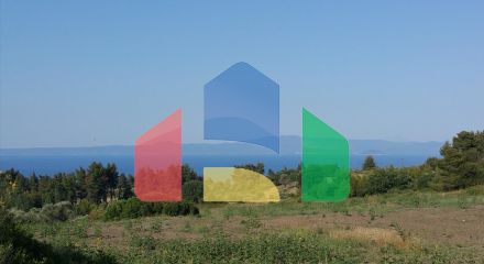 Продажа - Земельный участок 14625 m² на Кассандре (Халкидики)