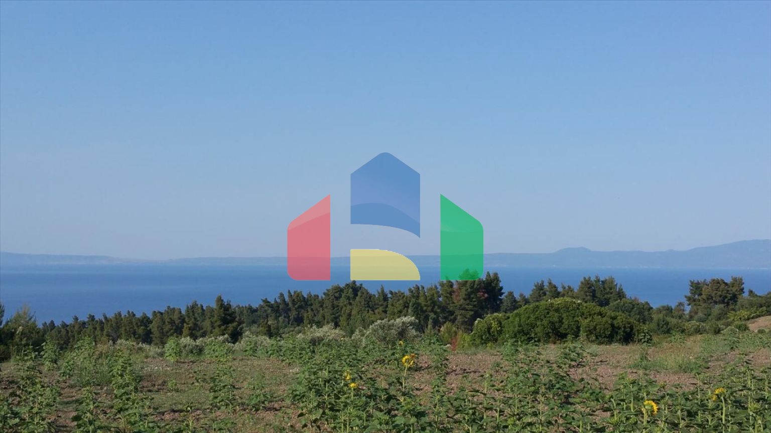 Продажа - Земельный участок 14625 m² на Кассандре (Халкидики)