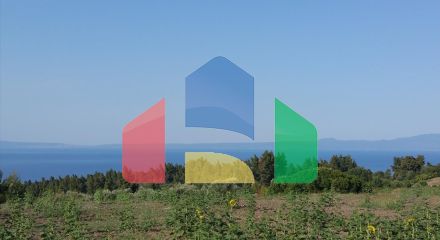 Продажа - Земельный участок 14625 m² на Кассандре (Халкидики) Продажа - Земельный участок 14625 m² на Кассандре (Халкидики)
