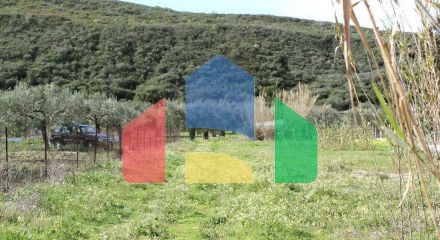 For Sale - Land 15000 m² in Kassandra, Chalkidiki