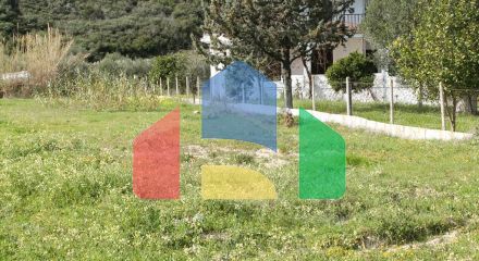 For Sale - Land 15000 m² in Kassandra, Chalkidiki