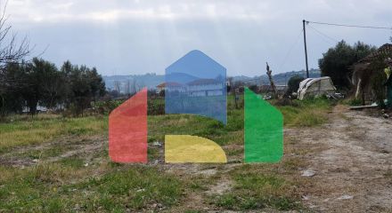 Продаж - Земельна ділянка 2000 m² на Кассандрі (Халкідіки)