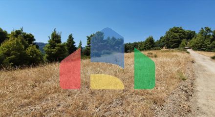 Продаж - Земельна ділянка 7700 m² на Кассандрі (Халкідіки)
