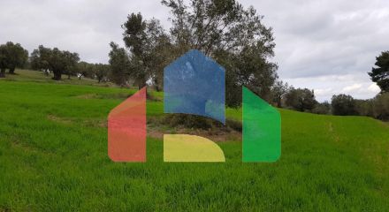 For Sale - Land 4000 m² in Kassandra, Chalkidiki