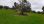For Sale - Land 4000 m² in Kassandra, Chalkidiki