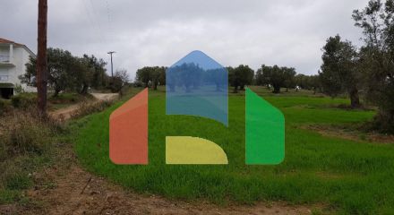 For Sale - Land 4000 m² in Kassandra, Chalkidiki