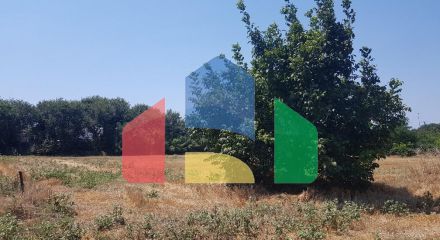 Продажа - Земельный участок 7500 m² на Кассандре (Халкидики)