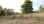 For Sale - Land 4000 m² in Kassandra, Chalkidiki