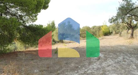 For Sale - Land 4000 m² in Kassandra, Chalkidiki