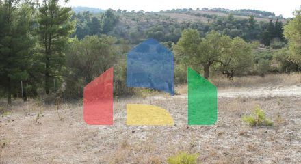 For Sale - Land 4000 m² in Kassandra, Chalkidiki