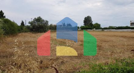 For Sale - Land 4800 m² in Kassandra, Chalkidiki