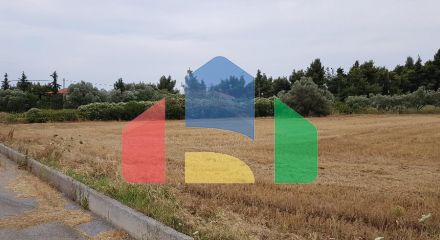 Продажа - Земельный участок 4800 m² на Кассандре (Халкидики)