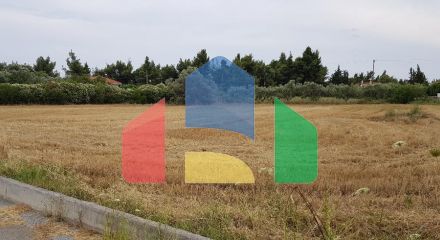 Продажа - Земельный участок 4800 m² на Кассандре (Халкидики)