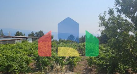 Продаж - Вілла 288 m² на Кассандрі (Халкідіки)