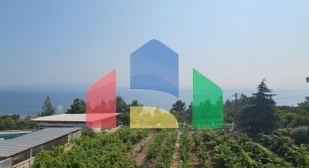 Продаж - Вілла 288 m² на Кассандрі (Халкідіки)