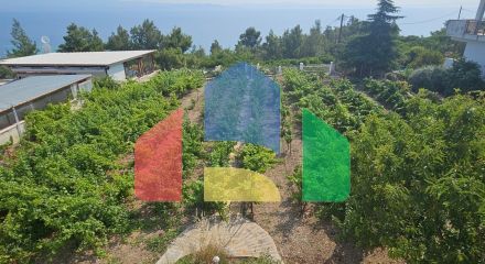 Продаж - Вілла 288 m² на Кассандрі (Халкідіки)