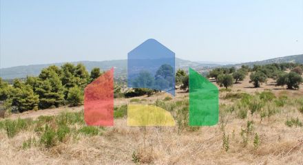 For Sale - Land 12000 m² in Kassandra, Chalkidiki