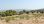 For Sale - Land 12000 m² in Kassandra, Chalkidiki