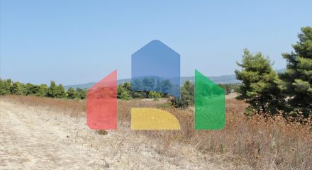 For Sale - Land 12000 m² in Kassandra, Chalkidiki