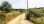 For Sale - Land 4062 m² in Kassandra, Chalkidiki