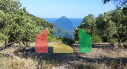 For Sale - Land 9100 m² in Kassandra, Chalkidiki