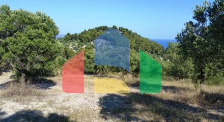 For Sale - Land 9100 m² in Kassandra, Chalkidiki