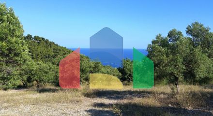 For Sale - Land 9100 m² in Kassandra, Chalkidiki
