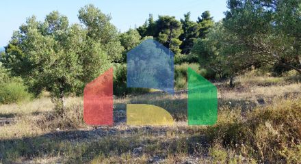 For Sale - Land 9100 m² in Kassandra, Chalkidiki