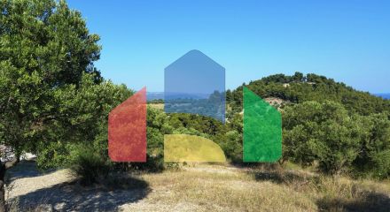 For Sale - Land 9100 m² in Kassandra, Chalkidiki