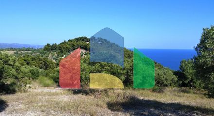 For Sale - Land 9100 m² in Kassandra, Chalkidiki