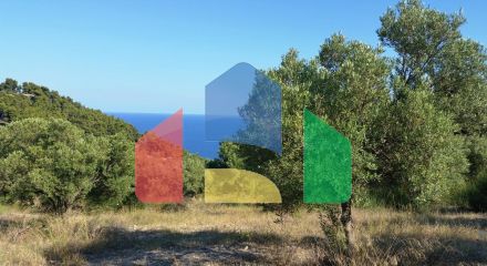 For Sale - Land 9100 m² in Kassandra, Chalkidiki