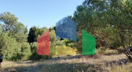 For Sale - Land 9100 m² in Kassandra, Chalkidiki
