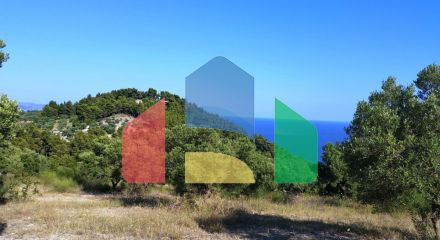 Продаж - Земельна ділянка 9100 m² на Кассандрі (Халкідіки)