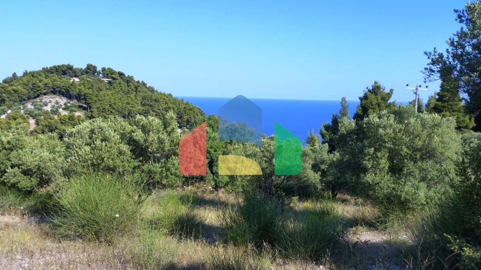 Продаж - Земельна ділянка 9100 m² на Кассандрі (Халкідіки)