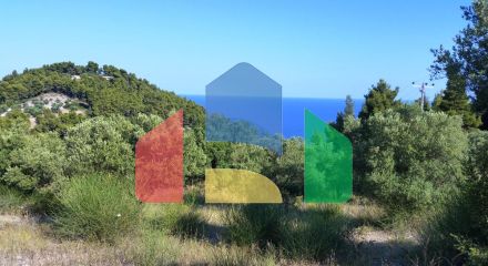 Продаж - Земельна ділянка 9100 m² на Кассандрі (Халкідіки)