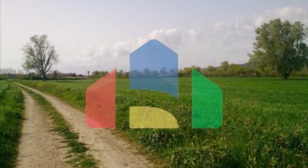 Продажа - Земельный участок 9861 m² на Кассандре (Халкидики)
