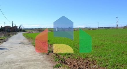 For Sale - Land 6700 m² in Kassandra, Chalkidiki