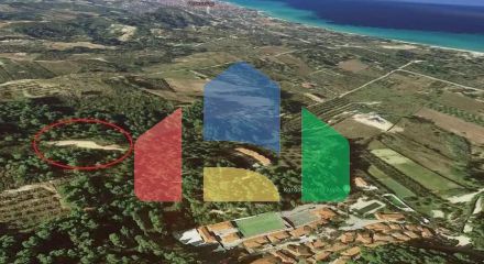 For Sale - Land 4500 m² in Kassandra, Chalkidiki