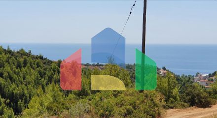 For Sale - Land 5700 m² in Kassandra, Chalkidiki