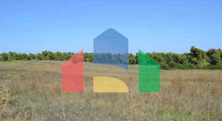 For Sale - Land 4380 m² in Kassandra, Chalkidiki