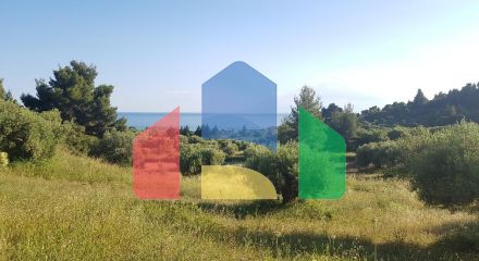 For Sale - Land 20000 m² in Kassandra, Chalkidiki
