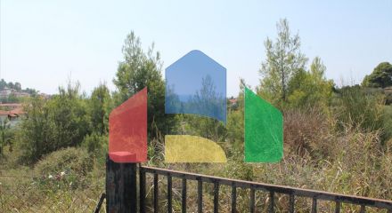 For Sale - Land 4025 m² in Kassandra, Chalkidiki